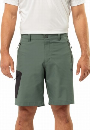Jack Wolfskin Active Track Korte Broek Heren Groen | 10590530