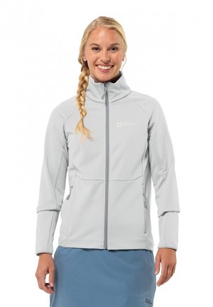 Jack Wolfskin Alpgrat Fz Fleece Jassen Dames Grijs | 43664988