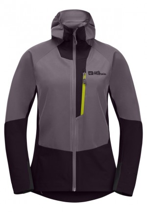 Jack Wolfskin Alpspitze Hoody Jassen Dames Paars | 48273249