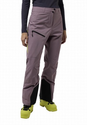 Jack Wolfskin Alpspitze Tour 3l Broek Dames Paars | 80853903