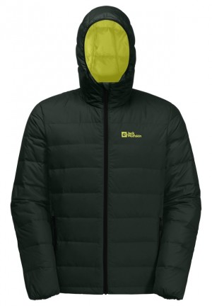 Jack Wolfskin Ather Hoody Donsjas Heren Groen | 98601720