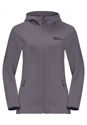 Jack Wolfskin Baiselberg Hooded Fz Fleece Jassen Dames Grijs | 62602912
