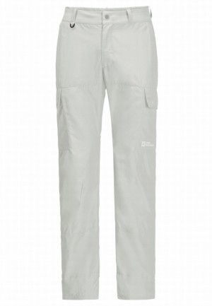 Jack Wolfskin Barrier Pant Wandelbroeken Heren Grijs | 26225969