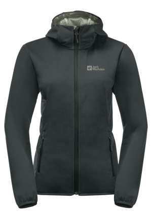Jack Wolfskin Bornberg Hoody Jassen Dames Grijs | 51750572