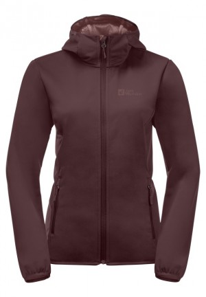 Jack Wolfskin Bornberg Hoody Jassen Dames Rood | 99018423