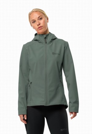 Jack Wolfskin Bornberg Hoody Softshell Jas Dames Groen | 17046882