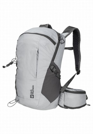 Jack Wolfskin Cyrox Shape 20 Wandelrugzak Dames Grijs | 46620563