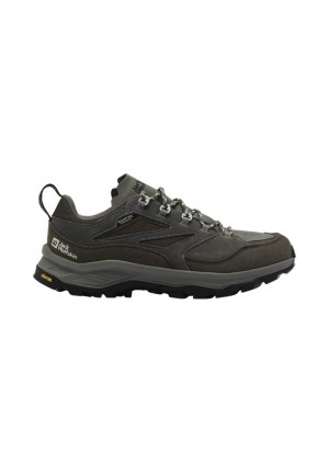 Jack Wolfskin Cyrox Texapore Low Wandelschoenen Heren Koffie | 23627586