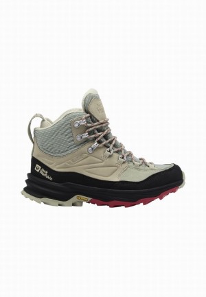 Jack Wolfskin Cyrox Texapore Mid Wandelschoenen Dames Grijs | 93143579