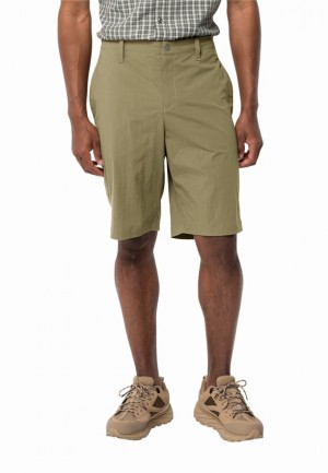 Jack Wolfskin Desert Korte Broek Heren Olijfgroen | 92619389