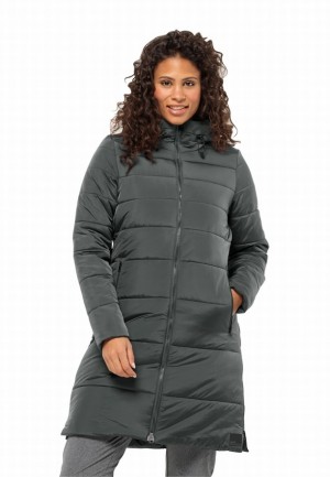 Jack Wolfskin Eisbach Jassen Dames Grijs | 11212152
