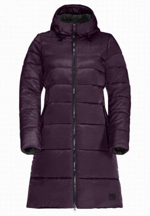 Jack Wolfskin Eisbach Jassen Dames Paars | 98347363