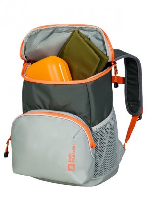 Jack Wolfskin Erlebnis Rugzakken Dames Grijs | 79154981
