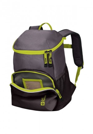 Jack Wolfskin Erlebnis Rugzakken Dames Grijs | 63355595