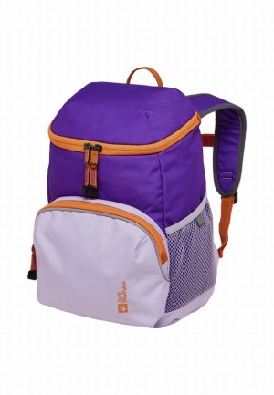 Jack Wolfskin Erlebnis Rugzakken Dames Paars | 41667912