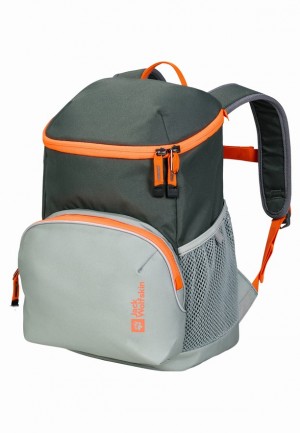 Jack Wolfskin Erlebnis Rugzakken Heren Grijs | 76925898