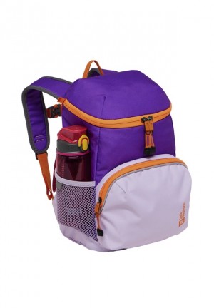 Jack Wolfskin Erlebnis Rugzakken Heren Roze | 95447604