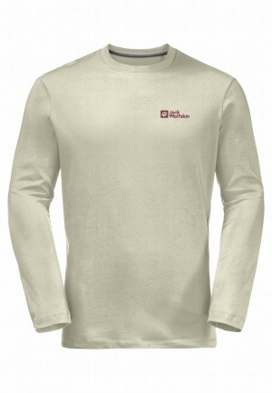 Jack Wolfskin Essential Longsleeve T-shirts Heren Grijs | 53818046