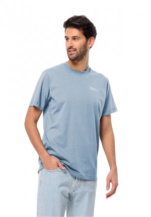 Jack Wolfskin Essential T-shirts Heren Blauw | 12527197