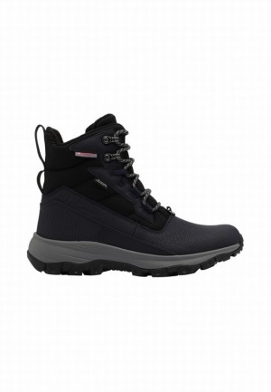 Jack Wolfskin Everquest Pro Texapore High Winterlaarzen Dames Donkerblauw | 84286666