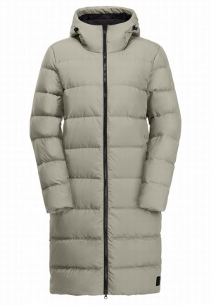 Jack Wolfskin Frozen Palace Donzen Jassen Dames Grijs | 77730801