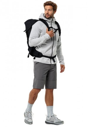 Jack Wolfskin Hiking Alpine Korte Broek Heren Grijs | 91630502