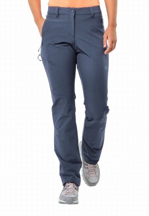 Jack Wolfskin Holdsteig Wandelbroeken Dames Blauw | 45099748