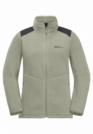 Jack Wolfskin Kammweg Pile Fz Fleece Jassen Dames Grijs | 19175487