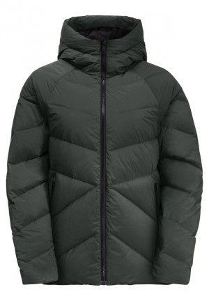 Jack Wolfskin Marienplatz Donsjas Dames Grijs | 45619947