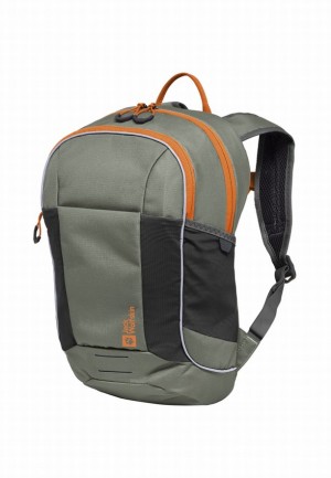 Jack Wolfskin Moab Jam Rugzakken Dames Grijs | 84890376