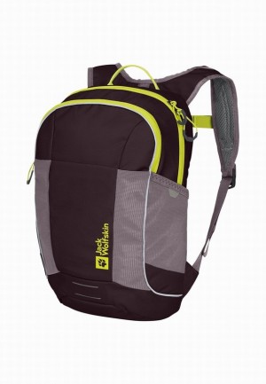 Jack Wolfskin Moab Jam Rugzakken Dames Paars | 55787304