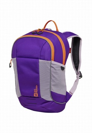 Jack Wolfskin Moab Jam Rugzakken Dames Paars | 83015433