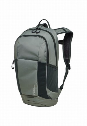 Jack Wolfskin Moab Trail Rugzakken Dames Grijs | 17413047