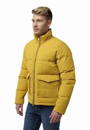 Jack Wolfskin Nordlicht Donsjas Heren Geel | 95220741