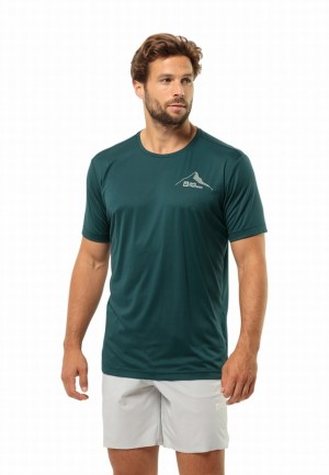 Jack Wolfskin Peak Graphic T-shirts Heren Turquoise | 93249798