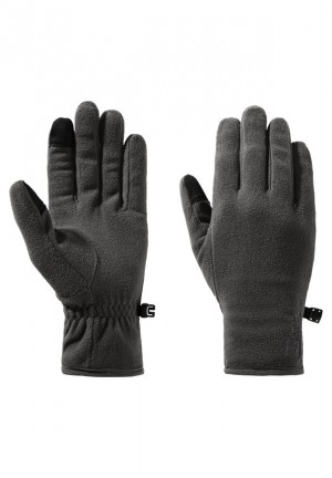 Jack Wolfskin Real Stuff Handschoenen Heren Grijs | 27907349