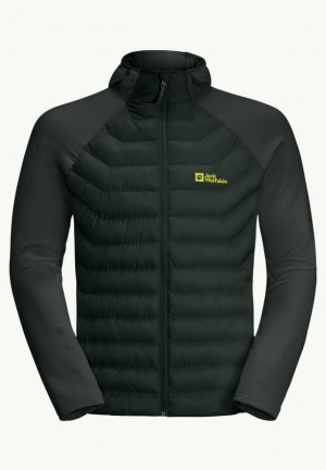 Jack Wolfskin Routeburn Pro Hybrid Jassen Heren Groen | 15127916