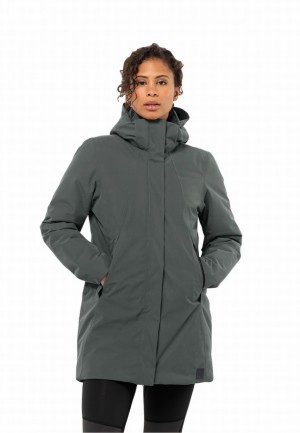 Jack Wolfskin Salier Jassen Dames Grijs | 91546184