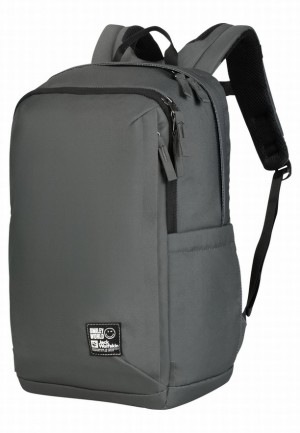 Jack Wolfskin Smileyworld Dagrugzak Dames Grijs | 68763159