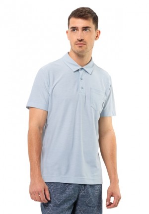 Jack Wolfskin Terral Poloshirt Heren Blauw | 54899069