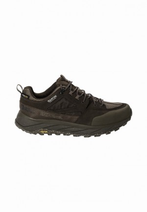 Jack Wolfskin Terraquest Texapore Low Wandelschoenen Heren Bruin | 59429401