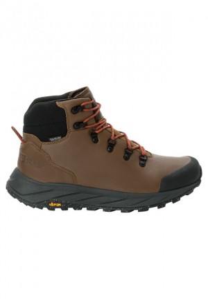 Jack Wolfskin Terraquest X Texapore Mid Wandelschoenen Heren Bruin | 45888885