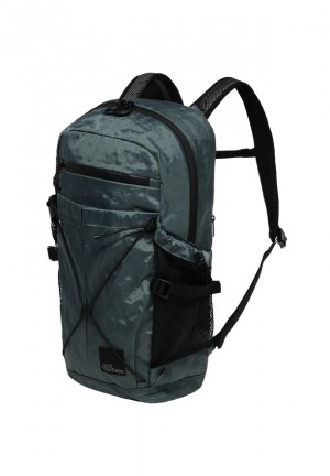 Jack Wolfskin Wandermood 20 Wandelrugzak Heren Groen | 12763815