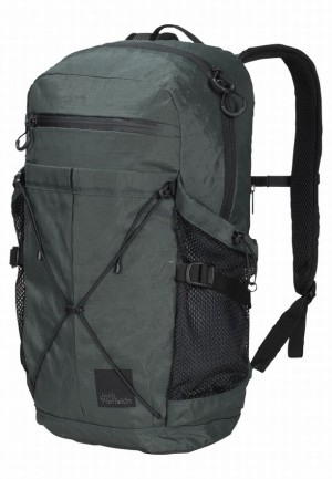 Jack Wolfskin Wandermood Pack 20 Wandelrugzak Dames Grijs | 18030509