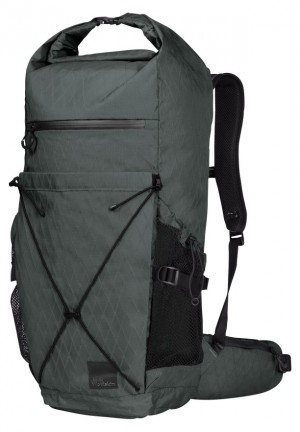 Jack Wolfskin Wandermood Rolltop 30 Wandelrugzak Dames Grijs | 34426423