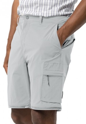 Jack Wolfskin Wanderthirst Zip Broek Heren Grijs | 46689839