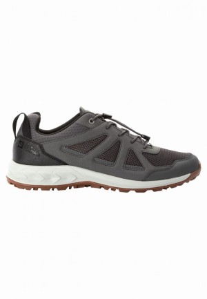 Jack Wolfskin Woodland 2 Vent Low Wandelschoenen Heren Grijs | 40456545