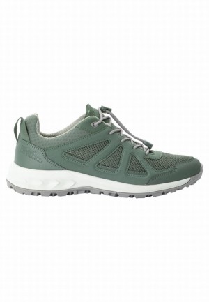 Jack Wolfskin Woodland 2 Vent Low Wandelschoenen Dames Groen | 44484577