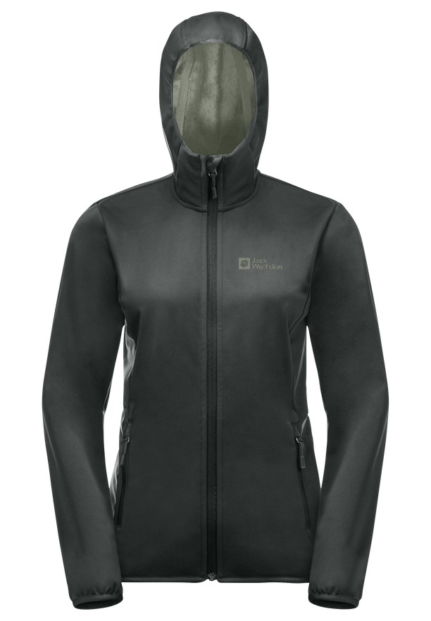 Jack Wolfskin Bornberg Hoody Jassen Dames Grijs | 51750572