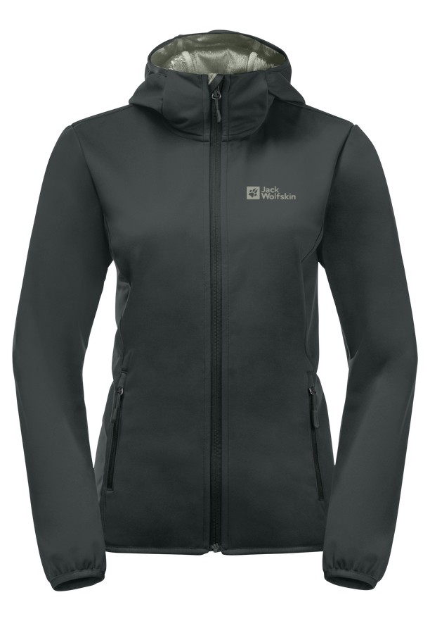 Jack Wolfskin Bornberg Hoody Jassen Dames Grijs | 51750572